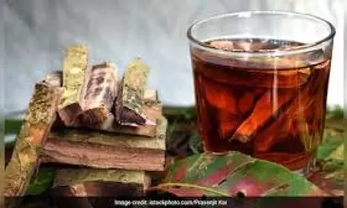 Health : अर्जुन की छाल हृदय के लिए क्यों फायदेमंद है Health : अर्जुन की छाल हृदय के लिए क्यों फायदेमंद है
