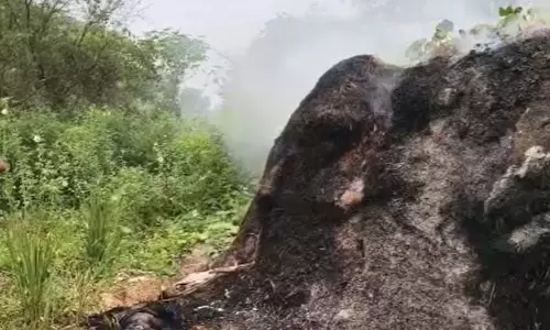 पिता घर अंदर बंद था, सुबह बेटी की लाश पैरावट में जली हालत में मिली पिता घर अंदर बंद था, सुबह बेटी की लाश पैरावट में जली हालत में मिली