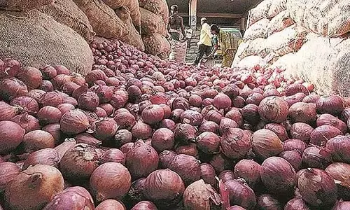 प्याज की कीमतें गिरीं: सरकार PDPS के तहत खरीदने की कोशिश कर रही है प्याज की कीमतें गिरीं: सरकार PDPS के तहत खरीदने की कोशिश कर रही है