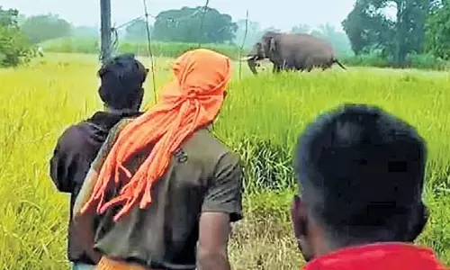 कृष्णराज सागर में लगातार पानी आ रहा है: पानी का बहाव बढ़ा - बाढ़ की चेतावनी