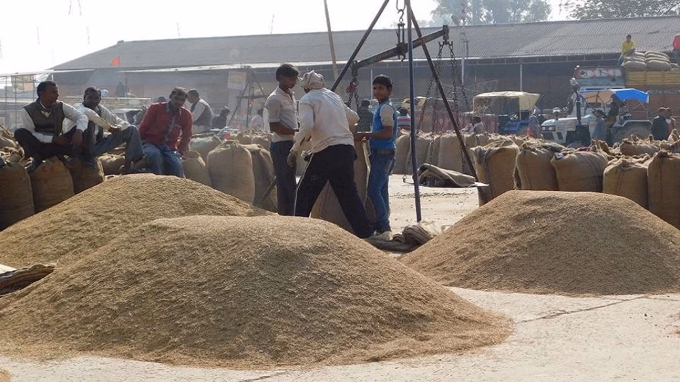 Bareilly: आंवला के क्रय केंद्रों में धान खरीद में मंदी Bareilly: आंवला के क्रय केंद्रों में धान खरीद में मंदी