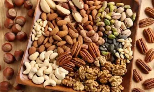 festivals  में स्वाद के साथ वेलनेस का नया ट्रेंड: बैलेंस को दी प्राथमिकता
