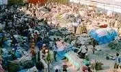 Himachal Pradesh: लवी मेला में भाग लेने के इच्छुक कलाकार 5 नवम्बर तक करें ऑनलाइन आवेदन Himachal Pradesh: लवी मेला में भाग लेने के इच्छुक कलाकार 5 नवम्बर तक करें ऑनलाइन आवेदन