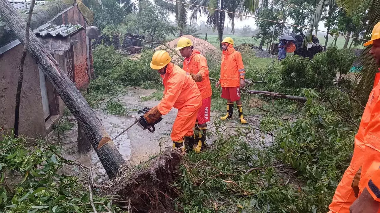 साइक्लोन मोंथा: IMD के अनुसार ओडिशा में ये नुकसान होने की उम्मीद है साइक्लोन मोंथा: IMD के अनुसार ओडिशा में ये नुकसान होने की उम्मीद है