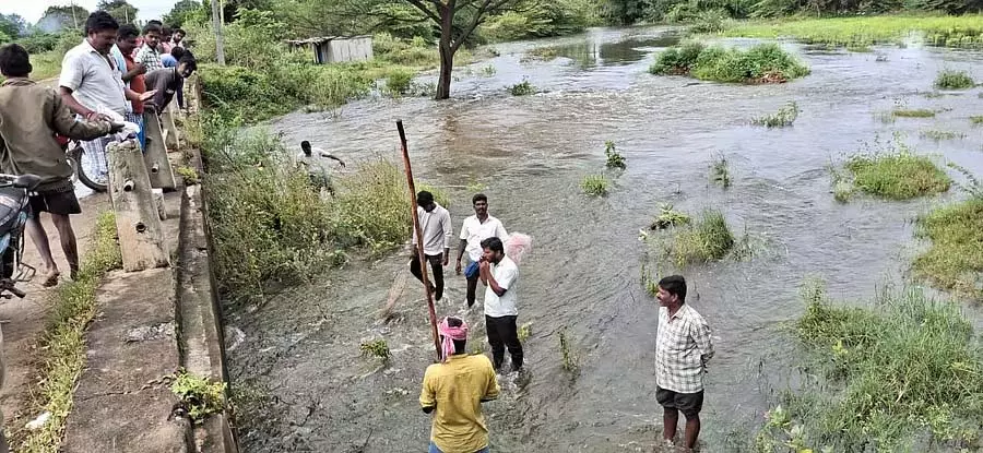 कोडी से बहती झीलें: महान मछली शिकारी कोडी से बहती झीलें: महान मछली शिकारी