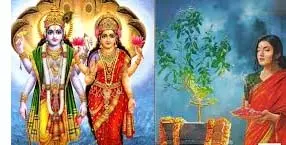 Devuthani Ekadashi 2025: शुभ मुहूर्त और तुलसी विवाह का महत्व Devuthani Ekadashi 2025: शुभ मुहूर्त और तुलसी विवाह का महत्व