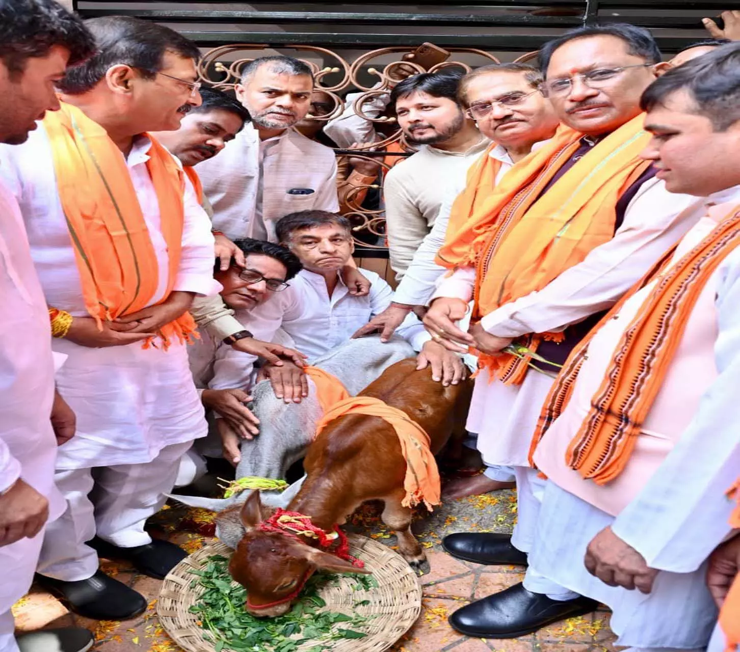 मुख्यमंत्री विष्णुदेव साय ने पुंगनूर नस्ल की गायों से लिया आशीर्वाद मुख्यमंत्री विष्णुदेव साय ने पुंगनूर नस्ल की गायों से लिया आशीर्वाद