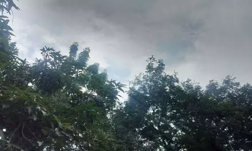 रायपुर में हुई हल्की बारिश, कई जिलों में छाए बादल