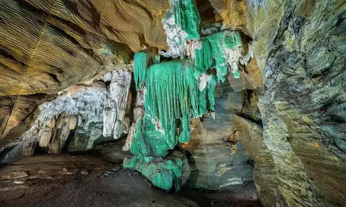 ग्रीन गुफा दिखा, वन विभाग की टीम के लिए नई उपलब्धि