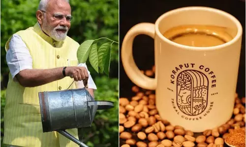 PM Modi ने मन की बात कार्यक्रम में कोरापुट कॉफी को ओडिशा का गौरव बताया PM Modi ने मन की बात कार्यक्रम में कोरापुट कॉफी को ओडिशा का गौरव बताया