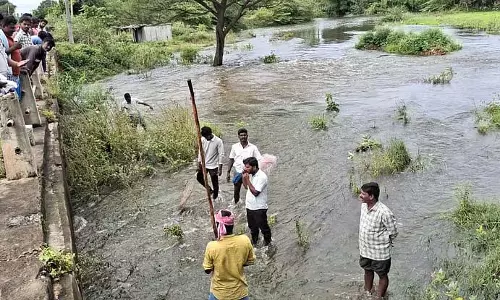 कोडी से बहती झीलें: महान मछली शिकारी कोडी से बहती झीलें: महान मछली शिकारी