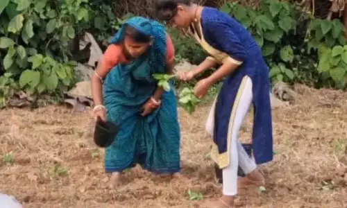 Balasore में बाढ़ प्रभावित किसानों पर चक्रवात मोन्था की आफत का साया Balasore में बाढ़ प्रभावित किसानों पर चक्रवात मोन्था की आफत का साया