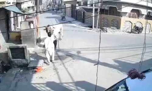 Moradabad में आवारा सांड द्वारा हवा में उछाले जाने से बुजुर्ग की मौत