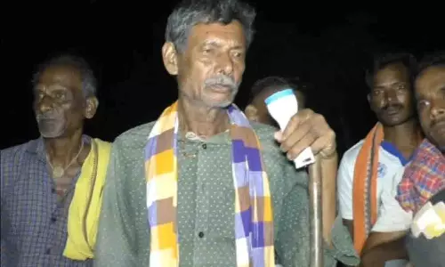 Cuttack: जंगली सूअरों के आतंक से किसान रातोंरात फसलें खो बैठे Cuttack: जंगली सूअरों के आतंक से किसान रातोंरात फसलें खो बैठे