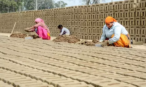 Punjab के भट्टों के लिए मुश्किलें बढ़ाईं, 25% बाजार हिस्सेदारी पर कब्जा किया