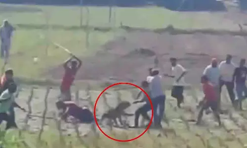 Himachal: हरोली में ग्रामीणों ने तेंदुए को लाठियों से पीटा, 3 घायल Himachal: हरोली में ग्रामीणों ने तेंदुए को लाठियों से पीटा, 3 घायल