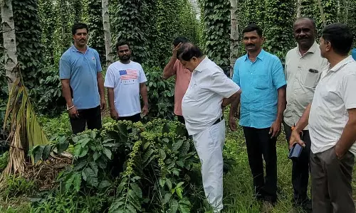 मिश्रित फसल प्रणाली किसानों के लिए वरदान है: Araga Gyanendra मिश्रित फसल प्रणाली किसानों के लिए वरदान है: Araga Gyanendra