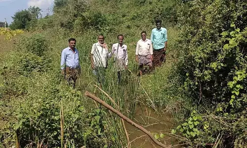 अंदनूर झील में पानी का रिसाव: किसान चिंतित, तहसीलदार ने दौरा किया अंदनूर झील में पानी का रिसाव: किसान चिंतित, तहसीलदार ने दौरा किया