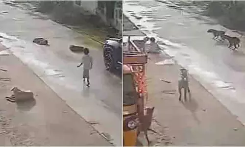 Warangal: 7 साल की नाबालिग पर 10 आवारा कुत्तों ने किया हमला
