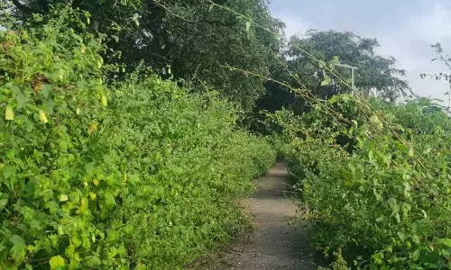 ऐतिहासिक Orugallu किले में समस्याओं का अंबार.. पर्यटक परेशान ऐतिहासिक Orugallu किले में समस्याओं का अंबार.. पर्यटक परेशान