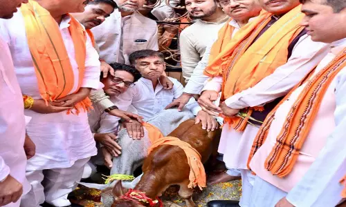 मुख्यमंत्री विष्णुदेव साय ने पुंगनूर नस्ल की गायों से लिया आशीर्वाद