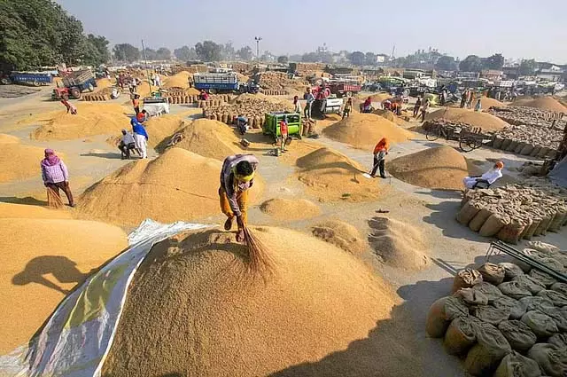 Tamil Nadu : औसतन 42.61 लाख मीट्रिक टन धान की रिकॉर्ड तोड़ सालाना खरीद Tamil Nadu : औसतन 42.61 लाख मीट्रिक टन धान की रिकॉर्ड तोड़ सालाना खरीद