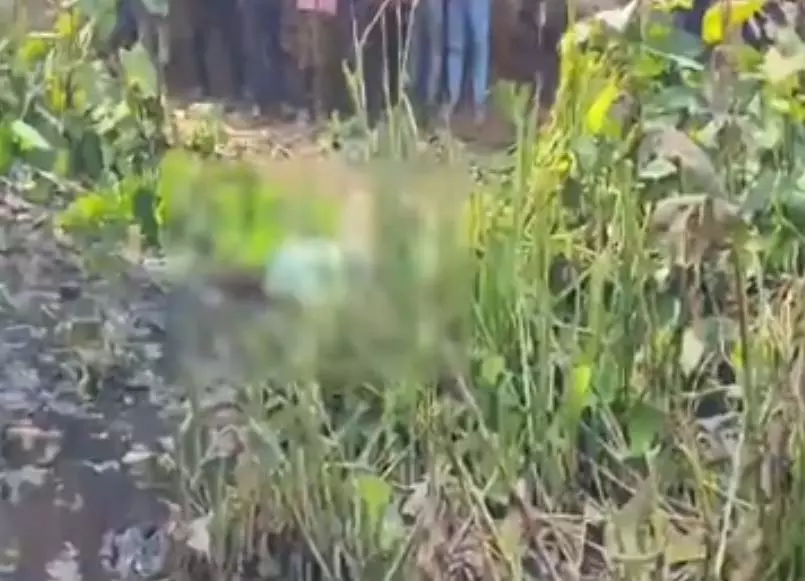 रायपुर में एक और लाश मिली रायपुर में एक और लाश मिली