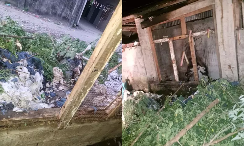 Arunachal: रुयिंग कॉलोनी में आग लगी, किसी के हताहत होने की खबर नहीं Arunachal: रुयिंग कॉलोनी में आग लगी, किसी के हताहत होने की खबर नहीं