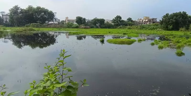 Yamunanagar नगर निगम राजस्व बढ़ाने के लिए खाली जमीन और तालाबों को पट्टे पर देगा Yamunanagar नगर निगम राजस्व बढ़ाने के लिए खाली जमीन और तालाबों को पट्टे पर देगा