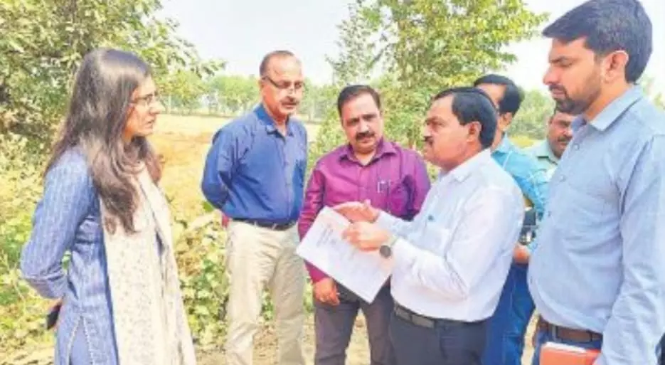 Bareilly: धीमी प्रगति देख भड़के सीडीओ, गुणवत्ता भी जांची Bareilly: धीमी प्रगति देख भड़के सीडीओ, गुणवत्ता भी जांची