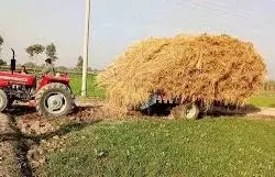 Karnal: ट्रॉलियों में सड़ रही धान फसल, उठान बंद होने से हाहाकार Karnal: ट्रॉलियों में सड़ रही धान फसल, उठान बंद होने से हाहाकार