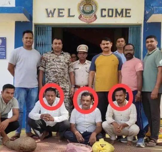 पैंगोलिन तस्करी नाकाम, महासमुंद पुलिस ने तीन सप्लायर को दबोचा पैंगोलिन तस्करी नाकाम, महासमुंद पुलिस ने तीन सप्लायर को दबोचा
