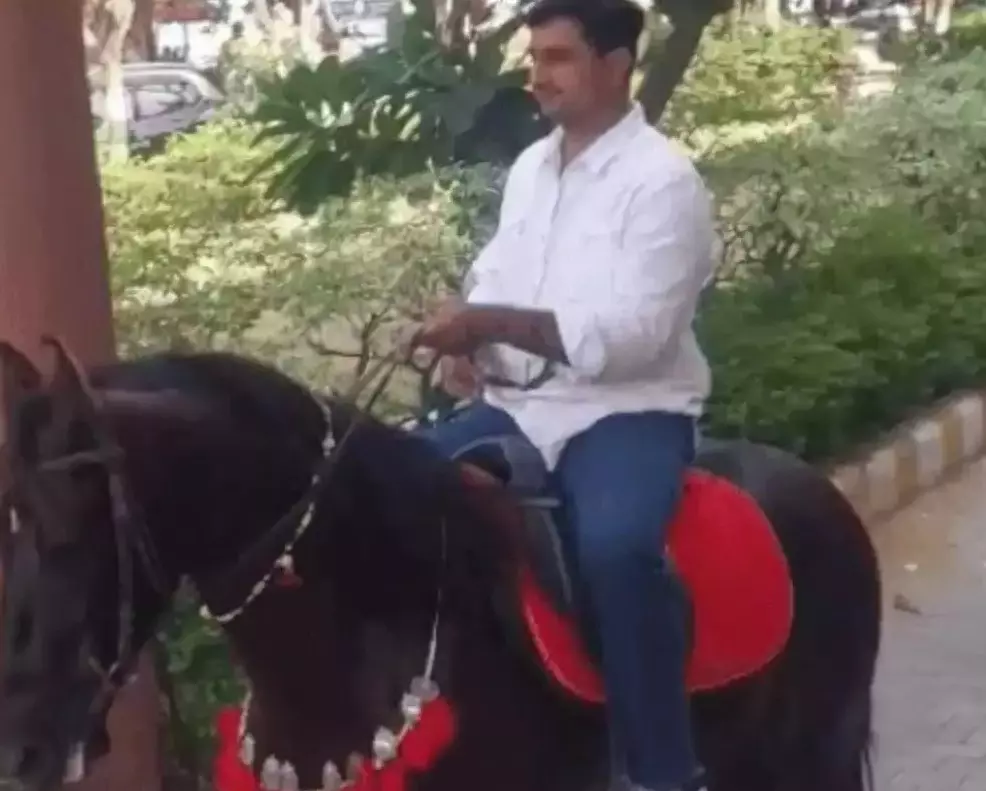 Rohtak: चुनावी तोहफे का इस्तेमाल, घोड़े पर सवार होकर बैठक में पहुंचे पार्षद Rohtak: चुनावी तोहफे का इस्तेमाल, घोड़े पर सवार होकर बैठक में पहुंचे पार्षद