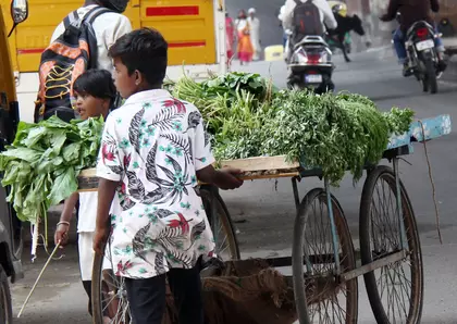 बचपन बचाने की पहल: 14 साल से कम उम्र के बच्चों के व्यावसायिक काम पर रोक बचपन बचाने की पहल: 14 साल से कम उम्र के बच्चों के व्यावसायिक काम पर रोक
