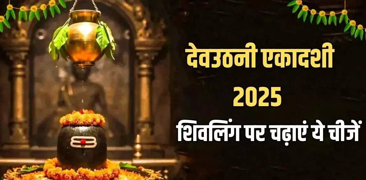 Dev Uthani Ekadashi : शिवलिंग पर अर्पित करें ये चीजें, दूर हों सभी दुख Dev Uthani Ekadashi : शिवलिंग पर अर्पित करें ये चीजें, दूर हों सभी दुख