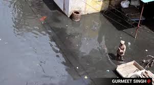 Ludhiana: बुद्ध नाले में बाढ़ के 2 महीने बाद भी धोका मोहल्ला के निवासियों को सहायता का इंतजार