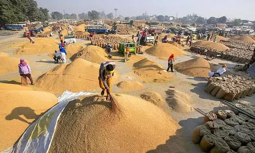 Tamil Nadu : औसतन 42.61 लाख मीट्रिक टन धान की रिकॉर्ड तोड़ सालाना खरीद