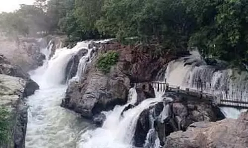 Tamil Nadu : ओकेनक्कल में पानी का इनफ्लो घटकर 24,000 क्यूबिक फीट हो गया है Tamil Nadu : ओकेनक्कल में पानी का इनफ्लो घटकर 24,000 क्यूबिक फीट हो गया है