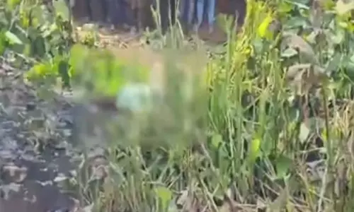 रायपुर में एक और लाश मिली