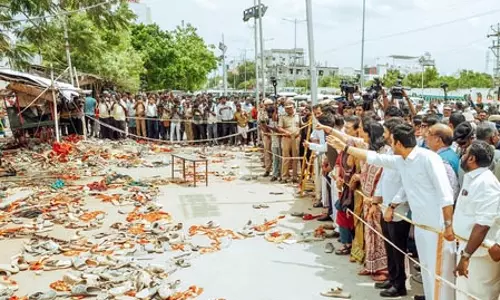मद्रास उच्च न्यायालय में करूर भगदड़ से संबंधित याचिकाओं पर सुनवाई मद्रास उच्च न्यायालय में करूर भगदड़ से संबंधित याचिकाओं पर सुनवाई