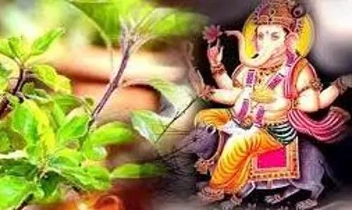 Tulsi Vivah: गणेश जी ने माता तुलसी को क्यों दिया था श्राप? जानें पौराणिक कथा Tulsi Vivah: गणेश जी ने माता तुलसी को क्यों दिया था श्राप? जानें पौराणिक कथा