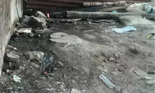 सरकारी क्वार्टरों के पास कूड़े के ढेर से दुकानदार और स्थानीय लोग परेशान