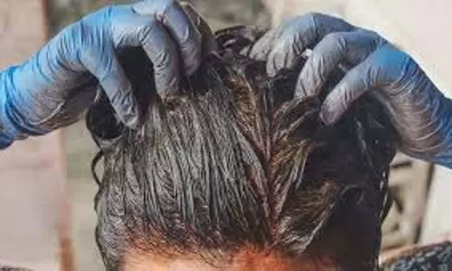 Homemade DIY Black Hair Colour: घर पर बनाएं नेचुरल DIY ब्लैक हेयर कलर Homemade DIY Black Hair Colour: घर पर बनाएं नेचुरल DIY ब्लैक हेयर कलर