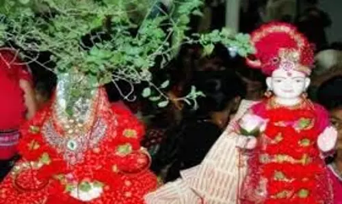Tulsi Vivah Upay: तुलसी विवाह पर अपनाएं उपाय, जल्द बजेंगी शहनाई Tulsi Vivah Upay: तुलसी विवाह पर अपनाएं उपाय, जल्द बजेंगी शहनाई