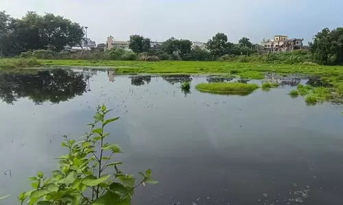Yamunanagar नगर निगम राजस्व बढ़ाने के लिए खाली जमीन और तालाबों को पट्टे पर देगा Yamunanagar नगर निगम राजस्व बढ़ाने के लिए खाली जमीन और तालाबों को पट्टे पर देगा