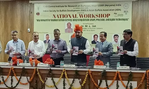 CIRB भैंसों के लिए मासिक दूध प्रतियोगिता आयोजित करेगा CIRB भैंसों के लिए मासिक दूध प्रतियोगिता आयोजित करेगा