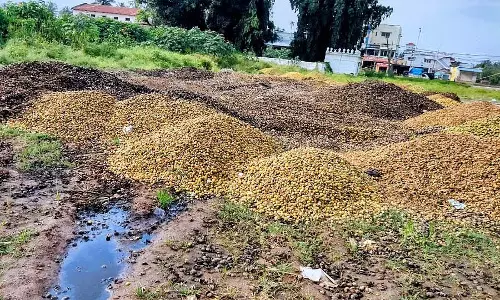 सुपारी के छिलके को ठिकाने लगाने की चुनौती; जंगल के किनारे ढेर लगे हुए सुपारी के छिलके को ठिकाने लगाने की चुनौती; जंगल के किनारे ढेर लगे हुए