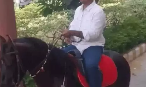 Rohtak: चुनावी तोहफे का इस्तेमाल, घोड़े पर सवार होकर बैठक में पहुंचे पार्षद
