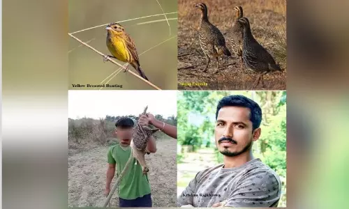 Assam : विशेषज्ञों की पहल से लुप्तप्राय पक्षियों के लिए नया प्राकृतिक अभयारण्य तैयार Assam : विशेषज्ञों की पहल से लुप्तप्राय पक्षियों के लिए नया प्राकृतिक अभयारण्य तैयार