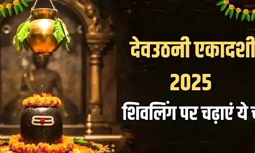 Dev Uthani Ekadashi : शिवलिंग पर अर्पित करें ये चीजें, दूर हों सभी दुख Dev Uthani Ekadashi : शिवलिंग पर अर्पित करें ये चीजें, दूर हों सभी दुख